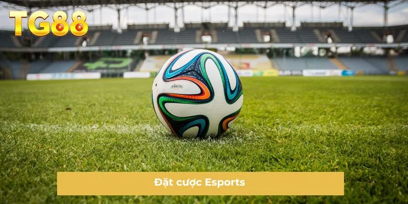 Đặt cược Esports