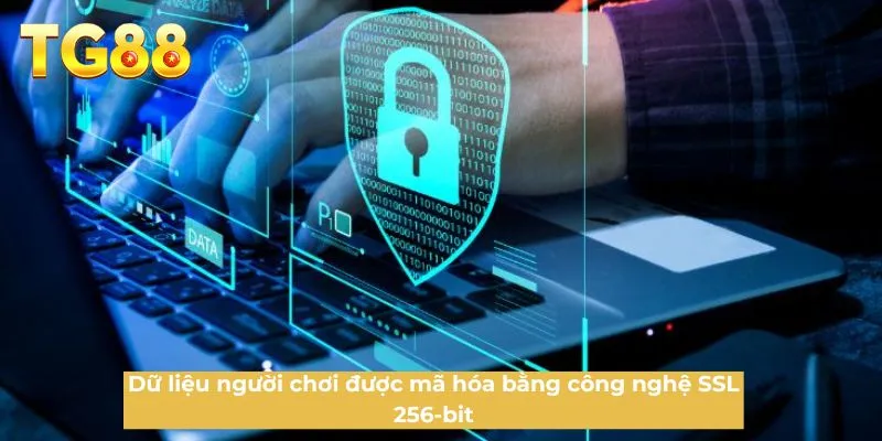 Dữ liệu người chơi được mã hóa bằng công nghệ SSL 256-bit