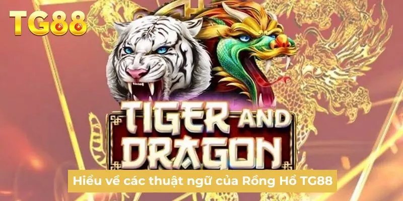 Hiểu về các thuật ngữ của Rồng Hổ TG88