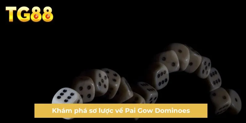 Khám phá sơ lược về Pai Gow Dominoes