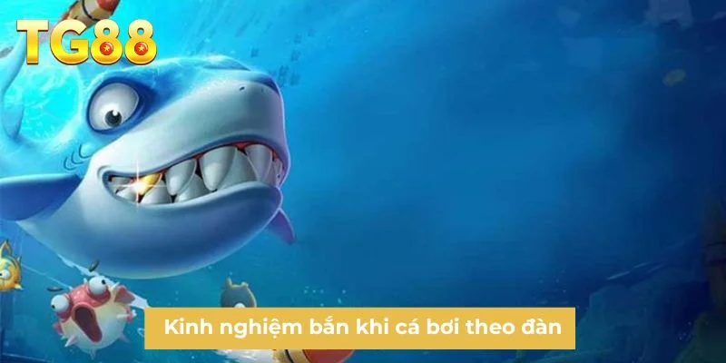 Kinh nghiệm bắn khi cá bơi theo đàn