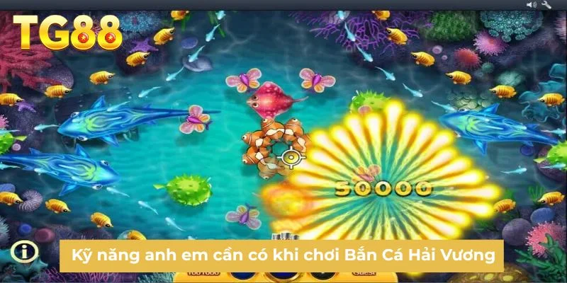 Kỹ năng anh em cần có khi chơi Bắn Cá Hải Vương
