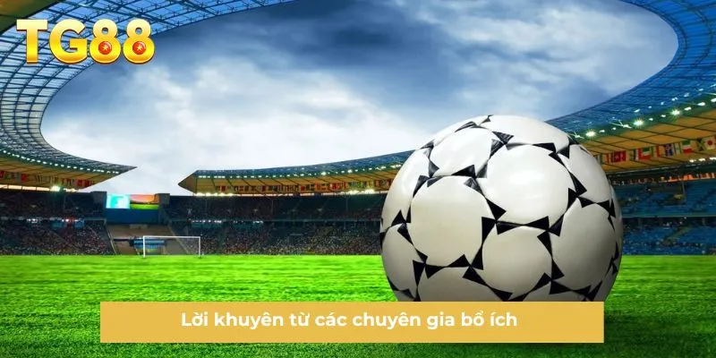 Lời khuyên từ các chuyên gia bổ ích