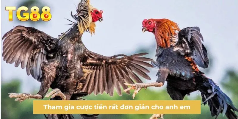 Tham gia cược tiền rất đơn giản cho anh em