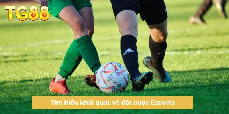 Tìm hiểu khái quát về đặt cược Esports