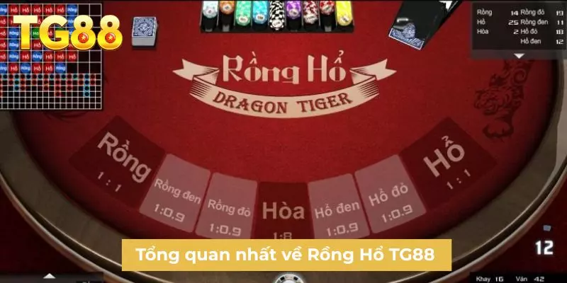 Tổng quan nhất về Rồng Hổ TG88