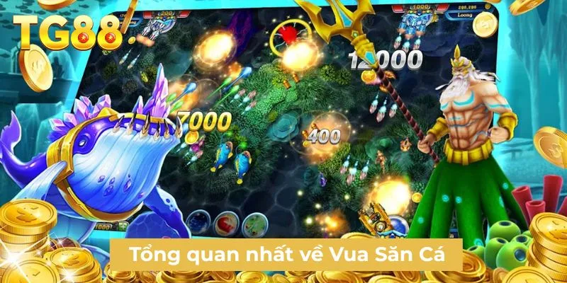 Tổng quan nhất về Vua Săn Cá