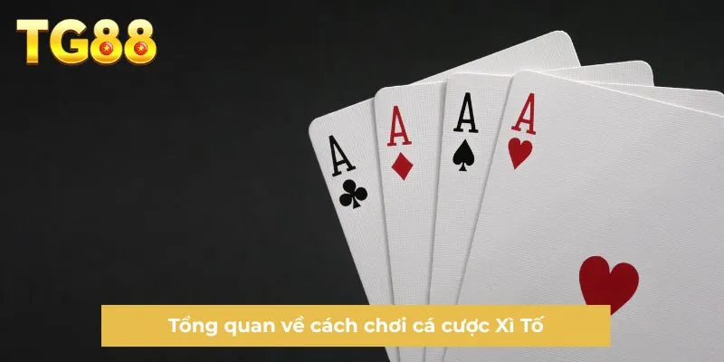 Tổng quan về cách chơi cá cược Xì Tố