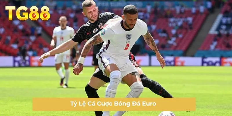 Tỷ Lệ Cá Cược Bóng Đá EURO